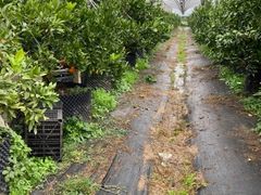 -前小桔亲子创意农场·草莓采摘·露营烧烤