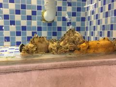 小姐鱼-船奇蒸汽海鲜·闽菜(八市海鲜总店)