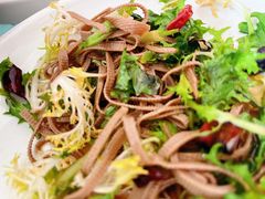-煎饼卷大葱·非遗传承·潍坊菜(十笏园店)