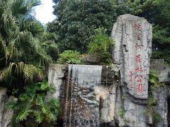 -广州市流溪河国家森林公园