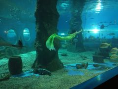 -北戴河圣蓝海洋公园