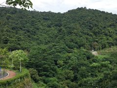 -火炉山森林公园