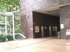 -香港大学