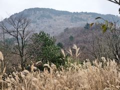 -浙西天池景区