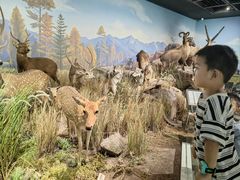 -陕西自然博物馆