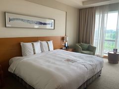 -上海浦东康桥绿地假日酒店