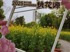 -圩墩遗址公园