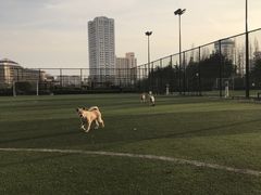-汇泉广场