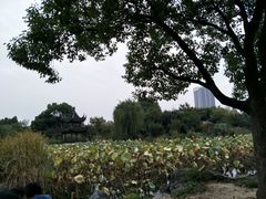 -花溪公园
