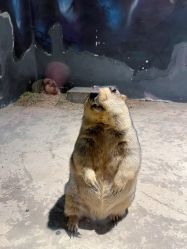 -酷嗒动物文化乐园(cutezoo西溪乐天城店)