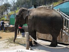 -大连森林动物园