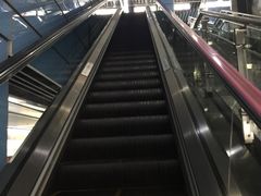 -大龙山(地铁站)