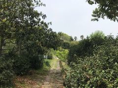 -雨花胜境