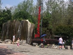 -合肥滨湖国家森林公园