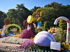 -上海共青森林公园