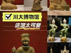 -四川大学博物馆