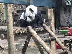 -栾川竹海野生动物园