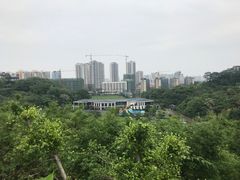 -李宁体育园