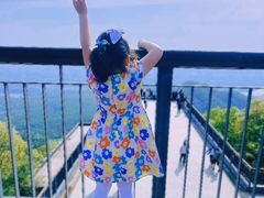 -紫金山山顶公园