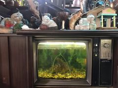-自然餐厅(Phuket)