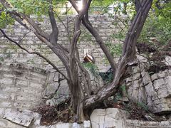 -锦屏山旅游度假区