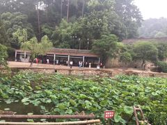 -韶山毛泽东同志故居