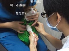 -安安宠医宠物医院·异宠·犬猫内科(岳阳分院)