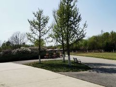 -永定河休闲森林公园