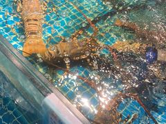 -驻海渔市(置信店)