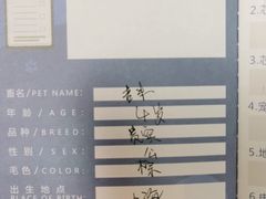-申普宠物医院·心脏介入·心血管微创(总院)