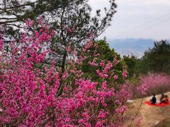 -天台山赤城山景区
