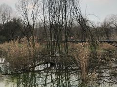 -西湖风景区-江洋畈生态公园
