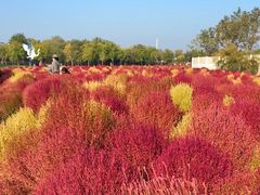 -天津东丽湖风景区