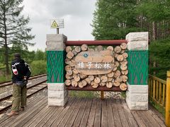 -莫尔道嘎国家森林公园