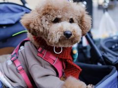 -佛山京华广场MALL