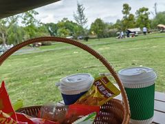 -中国天府农业博览园