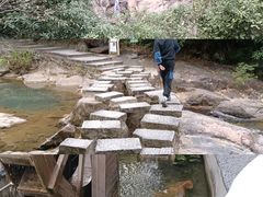 -广州白江湖森林公园