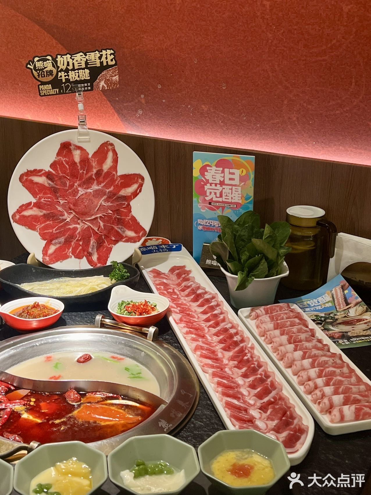 这个春天🌸熊喵来了实在太会了🐼