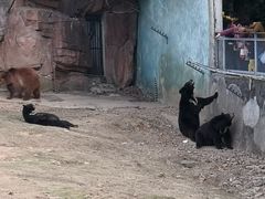 -无锡动物园·太湖欢乐园