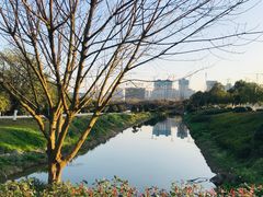 -洋湖国家湿地公园