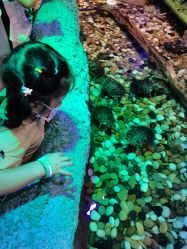 -酷嗒动物文化乐园(cutezoo西溪乐天城店)