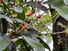 -宁波市保国寺古建筑博物馆