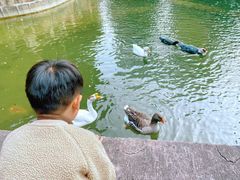 -上海千禧海鸥大酒店