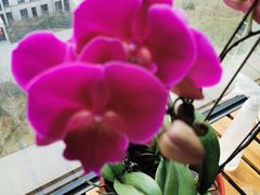 -麦当劳(欧陆广场店)