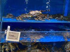 水产区-T11生鲜超市(朝阳公园店)