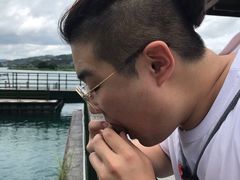 -金盆阿嬷香菇茶叶蛋(玄光店)