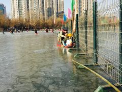-紫竹院公园冰场