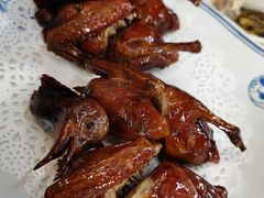 -鸽王世家(东华东路店)