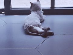 -搜秀影城