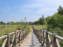 -野鸭湖国家湿地公园